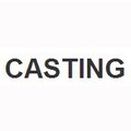  Typies Casting