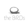   The Birds Management