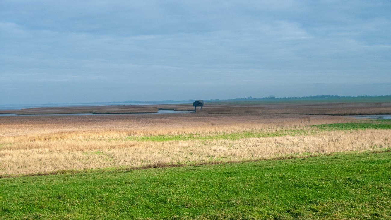 Flat nature landscape Groningen