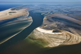 Frisian mudflats 1