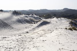 Dunes Schoorl